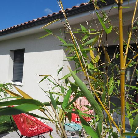 Les Jardins d'Oc - Wifi, Terrasse et Jardinet - Appart T2 neuf Soual Extérieur photo